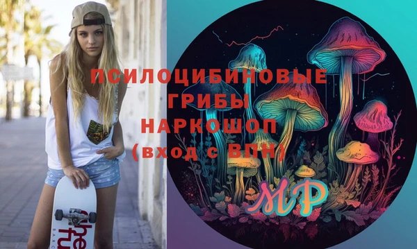 spice Гусь-Хрустальный