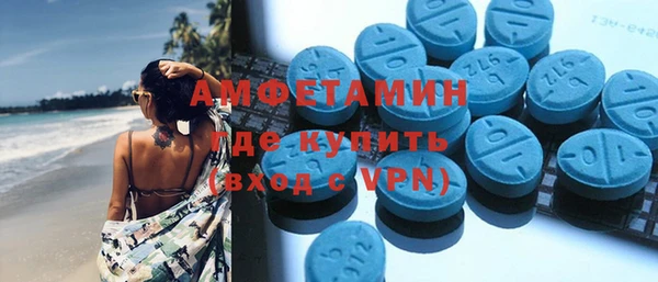 гидра Алагир